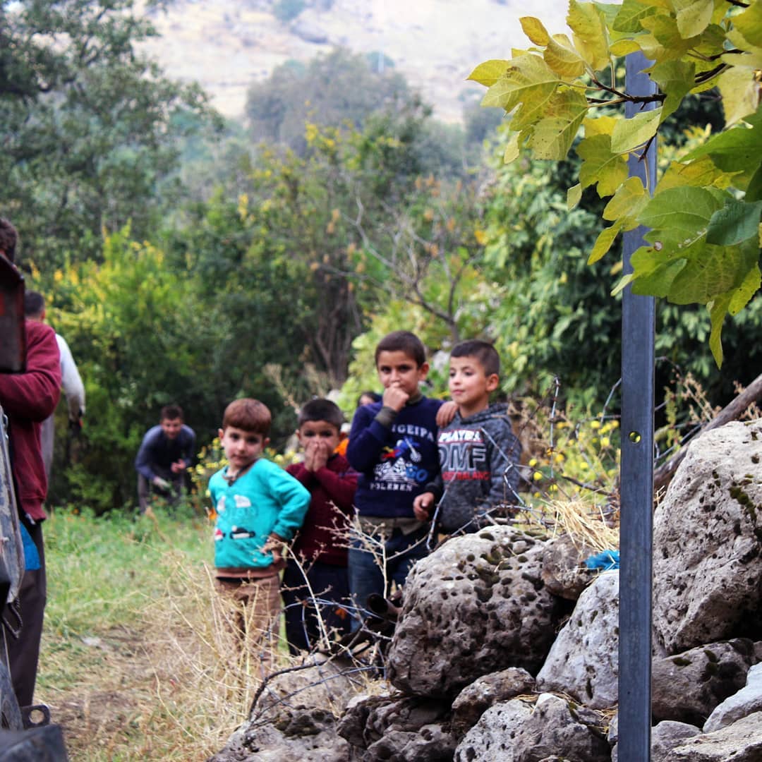 People celebrating in Kurdistan